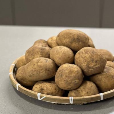 감자 햇 감자 경북고령군 감자 5kg 중대, 1개